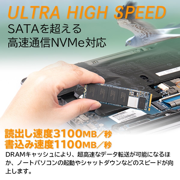 【メール便送料無料】ロジテック DRAM搭載 内蔵SSD M.2 NVMe対応 256GB データ移行ソフト付【LMD-MPDB256】 ロジテックダイレクト限定