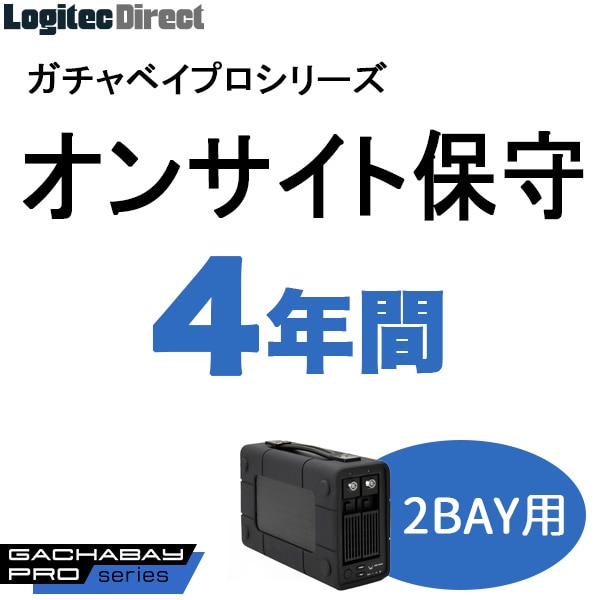 ガチャベイプロ（2BAY）シリーズ用オンサイト保守(4年間)【SB-RD2-HP-04】