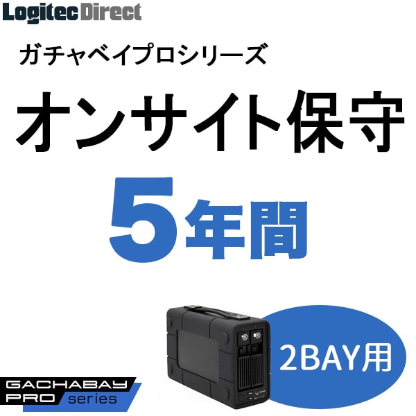 ガチャベイプロ（2BAY）シリーズ用オンサイト保守(5年間)【SB-RD2-HP-05】