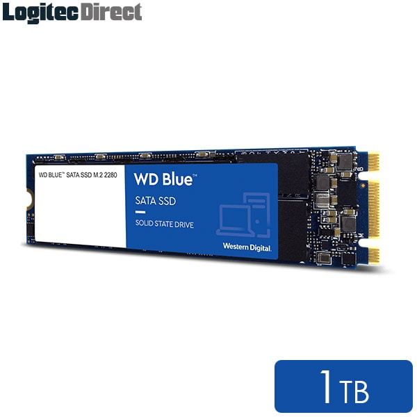 WD Blue SATA SSD M.2 2280 1TB WDS100T2B0B